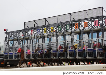 Oi Racecourse - Bad track condition ⑤ 122525596