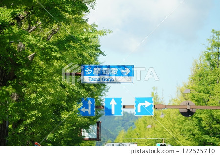 甲州街道銀杏樹線 甲州街道銀杏樹線 122525710