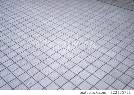 Tile condominium apartment entrance image Tile condominium apartment entrance image 122525731