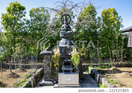 東京西新井大師總持寺的大日如來雕像 122525865