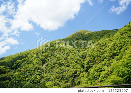 春日徒步，綠樹成蔭 122525907