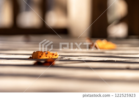 木地板裂縫中的枯葉 木地板裂縫中的枯葉 122525923