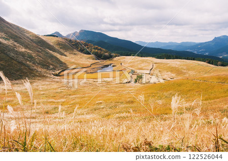 [Soni Plateau] Japanese silver grass shining golden in the sunlight 122526044