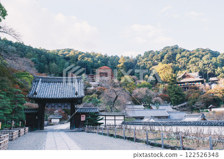 [Hasedera Temple] A famous power spot in Nara Prefecture 122526348