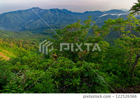 從淺草山登山口望去，森本山的新綠盡收眼底 122526366