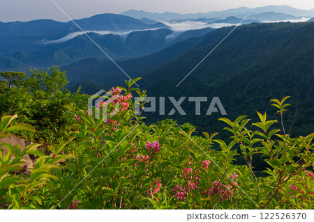 Ascending Mt. Asakusa with flowers of the Deutzia japonica and a ridgeline covered with waterfall clouds 122526370
