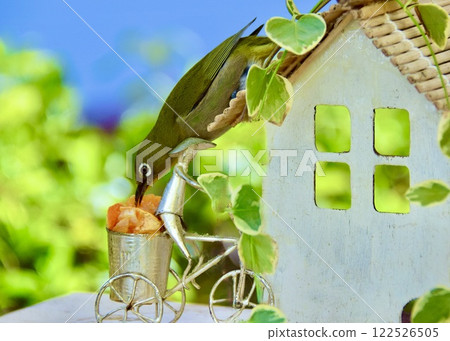 一隻繡眼鳥正在吃放在餵鳥器上的橘子。 一隻繡眼鳥正在吃放在餵鳥器上的橘子。 122526505