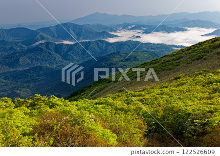 從新綠色的淺草山脊上眺望雲海和飯豐山脈 從新綠色的淺草山脊上眺望雲海和飯豐山脈 122526609