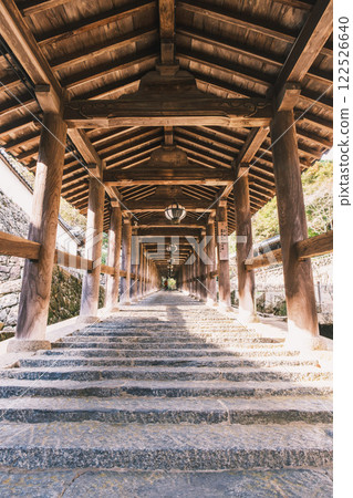 【長谷寺】通往本殿的長階梯 【長谷寺】通往本殿的長階梯 122526640
