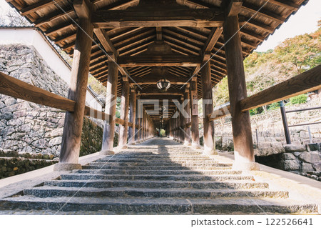 [Hasedera Temple] The long staircase leading to the main hall 122526641