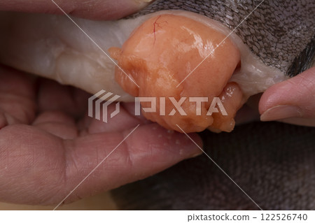 The process of simmering flounder roe The process of simmering flounder roe 122526740