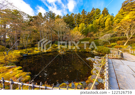 圓通院遠州庭園的深秋(宮城縣宮城郡松島町) 圓通院遠州庭園的深秋(宮城縣宮城郡松島町) 122526759