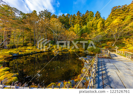 圓通院遠州庭園的深秋(宮城縣宮城郡松島町) 圓通院遠州庭園的深秋(宮城縣宮城郡松島町) 122526761