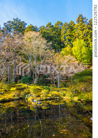 Late autumn at Entsuin Temple's Enshu Garden (Matsushima-machi, Miyagi-gun, Miyagi Prefecture) Late autumn at Entsuin Temple's Enshu Garden (Matsushima-machi, Miyagi-gun, Miyagi Prefecture) 122526792