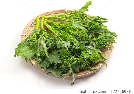 Cima di rapa, Italian rapeseed 122526986