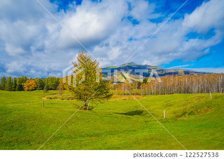 綠色山丘和樹木 122527538