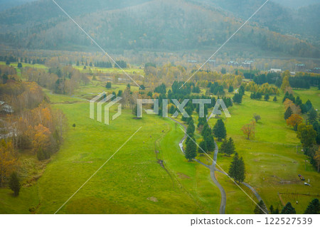 霧林中的木板路影像 122527539