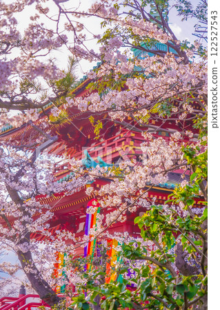 橫跨櫻花的五層寶塔 122527543