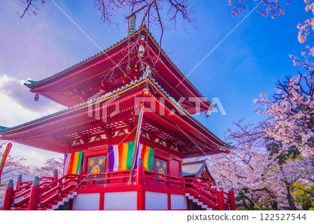 Spring colors at Mount Kodo 122527544