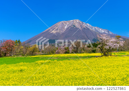 【日本百座名山】從羽谷望去的大山春景 鳥取縣西伯郡伯耆町14 【日本百座名山】從羽谷望去的大山春景 鳥取縣西伯郡伯耆町14 122527861