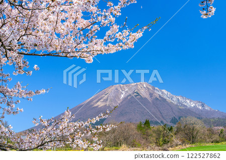 [Japan's 100 Famous Mountains] Cherry blossoms and Mt. Daisen seen from Soeya 6 Hoki Town, Saihaku District, Tottori Prefecture 122527862