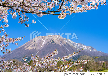 [Japan's 100 Famous Mountains] Cherry blossoms and Mt. Daisen seen from Soeya 8 Hoki Town, Saihaku District, Tottori Prefecture 122527864