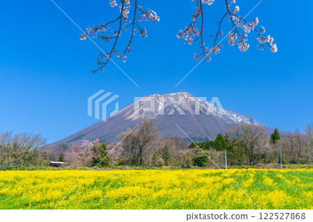 【日本百座名山】從羽谷望去的大山春景 鳥取縣西伯郡伯耆町10 122527868