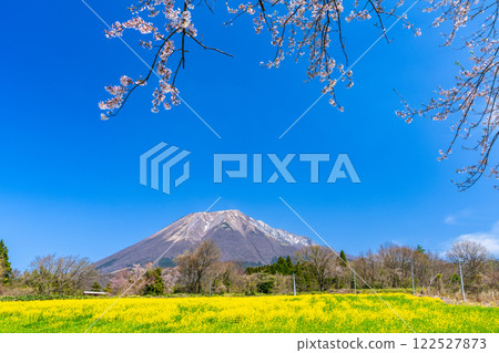 【日本百座名山】從羽谷望去的春天大山 鳥取縣西伯郡伯耆町18 122527873