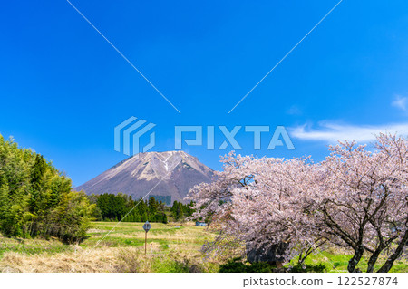【日本百座名山】從鳥取縣西伯郡伯耆町大內6號眺望櫻花與大山 122527874