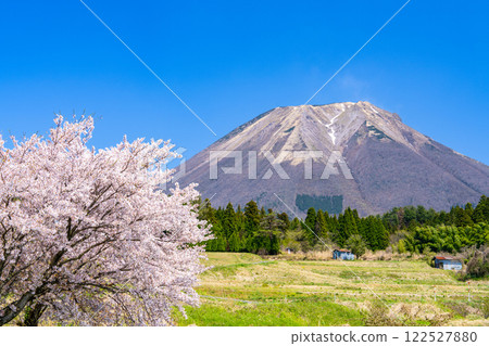 [Japan's 100 Famous Mountains] Cherry blossoms and Mt. Daisen seen from Ouchi 9 Hoki Town, Saihaku District, Tottori Prefecture 122527880