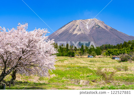 [Japan's 100 Famous Mountains] Cherry blossoms and Mt. Daisen seen from Ouchi 10 Hoki Town, Saihaku District, Tottori Prefecture 122527881