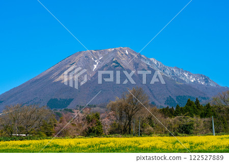 [Japan's 100 Famous Mountains] Mt. Daisen in spring as seen from Soeya 1 Hoki Town, Saihaku District, Tottori Prefecture 122527889
