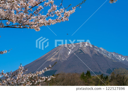 [Japan's 100 Famous Mountains] Cherry blossoms and Mt. Daisen seen from Soeya 3 Hoki Town, Saihaku District, Tottori Prefecture 122527896