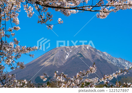 [Japan's 100 Famous Mountains] Cherry blossoms and Mt. Daisen seen from Soeya 4 Hoki Town, Saihaku District, Tottori Prefecture 122527897