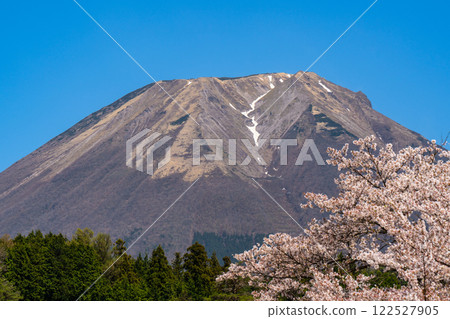 [Japan's 100 Famous Mountains] Cherry blossoms and Mt. Daisen seen from Ouchi 2 Hoki Town, Saihaku District, Tottori Prefecture 122527905