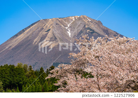 [Japan's 100 Famous Mountains] Cherry blossoms and Mt. Daisen seen from Ouchi 3 Hoki Town, Saihaku District, Tottori Prefecture 122527906