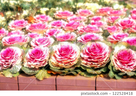 Leaf button 122528418