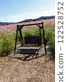 Cosmos field swings 122528752
