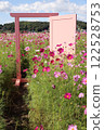 Dreaming Frame (Cosmos Beyond the Door) 122528753