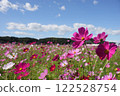 Contrast between cosmos and blue sky, part 1 122528754