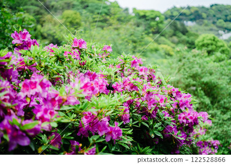 Beautiful scenery of Atami 122528866
