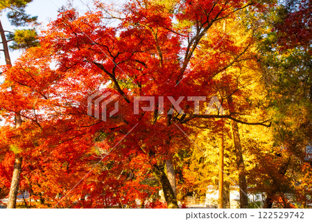 [Kyoto Scenery] Nanzenji Temple - Autumn leaves with a serene atmosphere 122529742