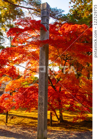 [Kyoto Scenery] Nanzenji Temple - Autumn leaves with a serene atmosphere 122529755