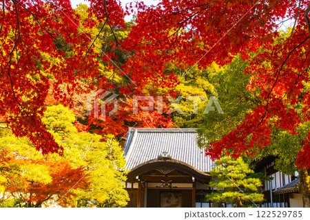 【京都風景】南禪寺,秋葉靜謐 【京都風景】南禪寺,秋葉靜謐 122529785