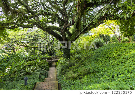 Beautiful view of Fort Canning Park in Civic District, Singapore. Beautiful view of Fort Canning Park in Civic District, Singapore. 122530170