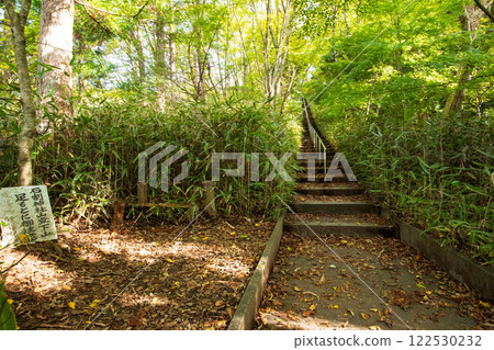 Stairs to Ishiwari Shrine 122530232