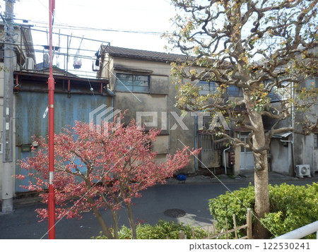 Old-fashioned house, Showa era scenery, Sanno, Ota Ward, Tokyo 122530241