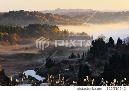 Hoshi Pass, dyed yellow in autumn leaves. Morning sun shines on the valley, where morning mist hangs. 122530242
