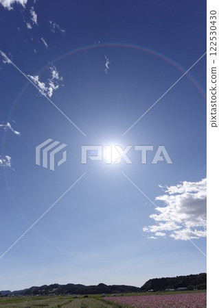 Sunlit countryside 122530430