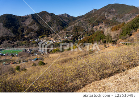 神奈川縣松田町臘梅節的風景 ※從展望台看到的松下景色 神奈川縣松田町臘梅節的風景 ※從展望台看到的松下景色 122530493